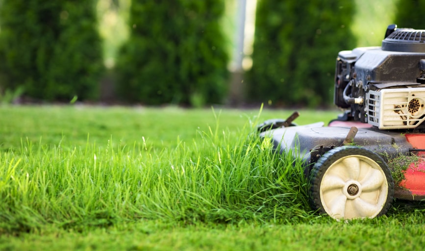 Lawn Mowing