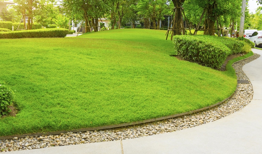 Lawn Edging